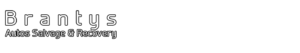 Brantys Auto Salvage And Recoverys logo