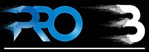Pro B Sales & Servicing logo